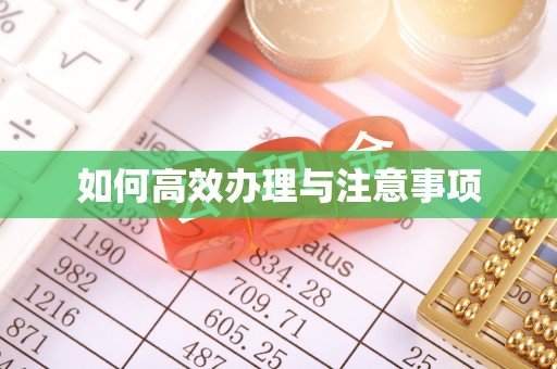 万荣如何高效办理与注意事项
