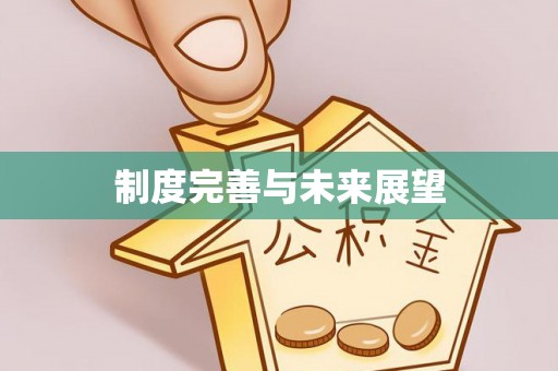 万荣制度完善与未来展望