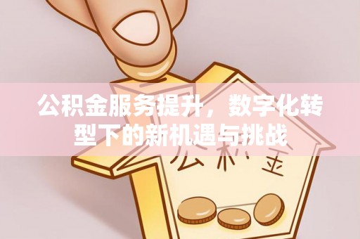 万荣公积金服务提升，数字化转型下的新机遇与挑战