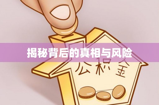 万荣揭秘背后的真相与风险