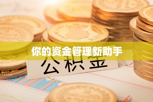 万荣你的资金管理新助手