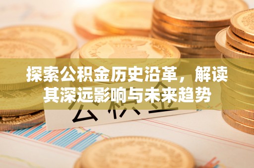 万荣探索公积金历史沿革，解读其深远影响与未来趋势
