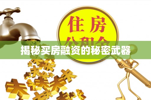 万荣揭秘买房融资的秘密武器