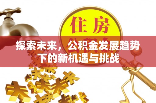 万荣探索未来，公积金发展趋势下的新机遇与挑战