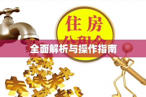 万荣全面解析与操作指南