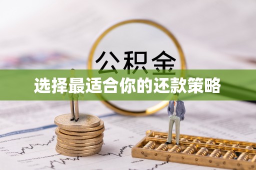 万荣选择最适合你的还款策略